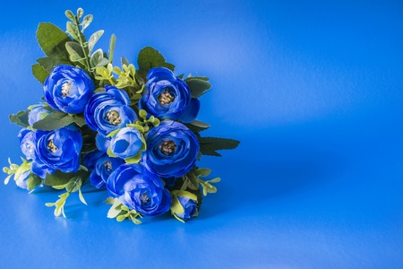 Violet flowers on a cobalt blue backgroundの写真素材