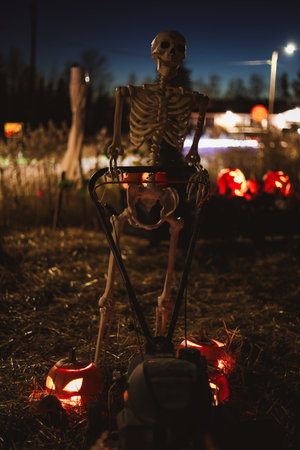 Creepy Halloween photo of a skeleton decoration with spooky lighting and dark background. Perfect for horror, Halloween, and scary holiday themes.の写真素材