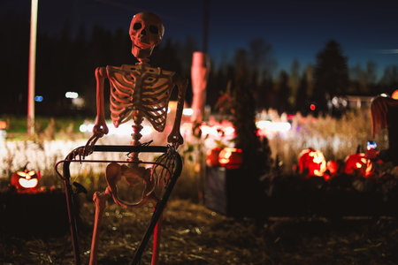 Creepy Halloween photo of a skeleton decoration with spooky lighting and dark background. Perfect for horror, Halloween, and scary holiday themes.の写真素材