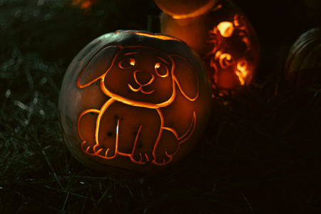 Spooky Halloween photo with carved pumpkins glowing in the dark. Festive autumn atmosphere with candle light, orange pumpkins, and seasonal decorations - perfect for holiday, Halloween, and fall themes.の写真素材
