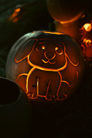 Spooky Halloween photo with carved pumpkins glowing in the dark. Festive autumn atmosphere with candle light, orange pumpkins, and seasonal decorations - perfect for holiday, Halloween, and fall themes.の写真素材