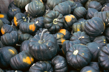 Halloween. Carved Halloween pumpkins glowing with candlelight inside at night, spooky and festive...