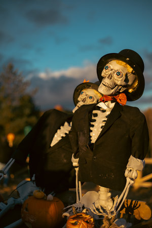 Halloween. Spooky Halloween skeleton with skull and bones in dark background, creepy horror...