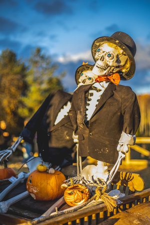 Halloween. Spooky Halloween skeleton with skull and bones in dark background, creepy horror...