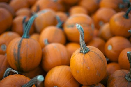 Carved pumpkins glowing with candlelight inside at night, spooky and festive atmosphere with dark...