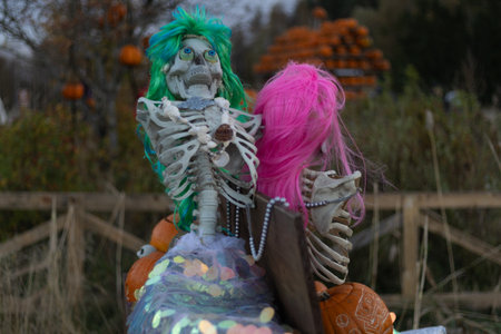 Halloween. Spooky Halloween skeleton with skull and bones in dark background, creepy horror decoration glowing in eerie light for Halloween night.の写真素材