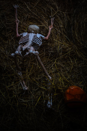 Halloween. Spooky Halloween skeleton with skull and bones in dark background, creepy horror decoration glowing in eerie light for Halloween night.の写真素材