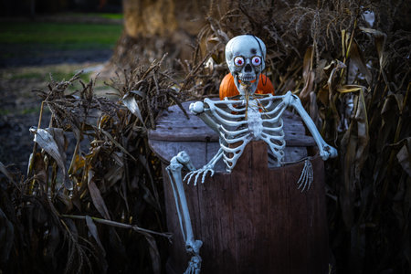Halloween. Spooky Halloween skeleton with skull and bones in dark background, creepy horror...