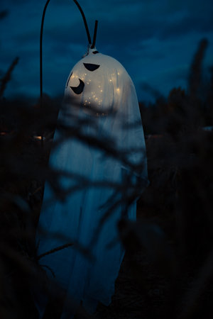 Halloween. Spooky white ghost figure in the dark, mysterious spirit in fog and moonlight, eerie and creepy atmosphere for Halloween night.の写真素材