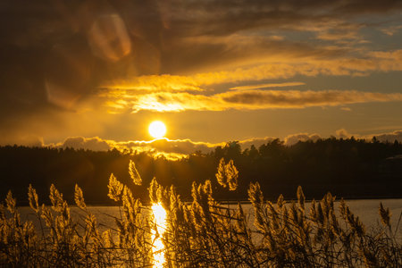 Golden sunset over calm water, bright sun on the horizon with colorful sky and reflections on water, peaceful nature background.の写真素材