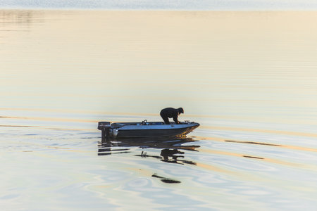 Person on a small boat fishing at sunrise in calm foggy sea, forest coastline visible in the distance, tranquil autumn seascape with warm morning light.の写真素材