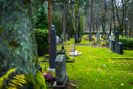 Lit candles on a cemetery at night, creating a calm and emotional atmosphere among graves.