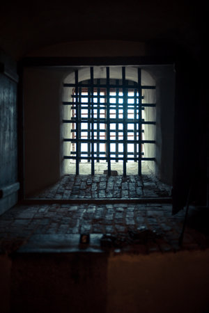 Stone prison cell inside an old medieval castle, rusty metal bars and dim light creating a dark...