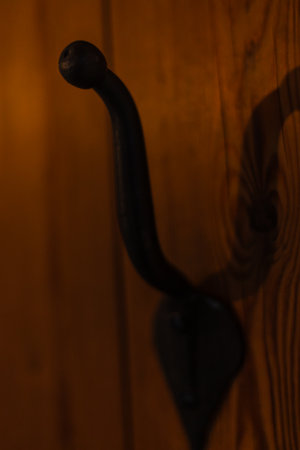 Close-up of antique door handles and locks on a wooden door, showing detailed metalwork and historical craftsmanship with aged textures.の写真素材