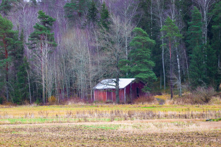 Cozy house near the forest surrounded by trees and natural landscape. Soft natural lighting and peaceful atmosphere. Ideal for nature photography, travel themes, countryside lifestyle, and eco-friendly living concepts.の写真素材
