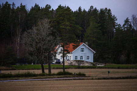 Cozy house near the forest surrounded by trees and natural landscape. Soft natural lighting and peaceful atmosphere. Ideal for nature photography, travel themes, countryside lifestyle, and eco-friendly living concepts.の写真素材
