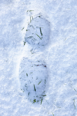 Photo of footprints left in fresh snow, showing delicate snow textures and serene winter atmosphere. Perfect for winter nature photography, outdoor scenes, forest walks, and seasonal content.の写真素材