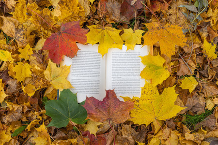 Top view of open book framed by colorful autumn leaves on ground