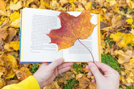 First person view of person holding open book and maple leaf in autumn park