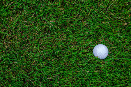 Golf Balls Resting on a Green Golf Course.
