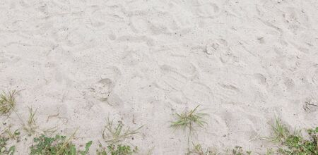 human footprints in white sandの写真素材