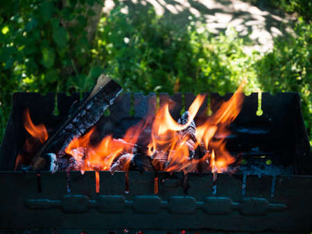 Kindling of chopped birch firewood. Burning wood in old metal barbecue. Fire in grill on greenery backgroundの写真素材