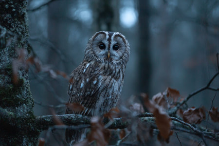 A beautiful owl sits quietly on a tree branch in a serene forest during dusk. Its feathers blend with the surroundings, and its large eyes seem to observe its environment attentively.の素材