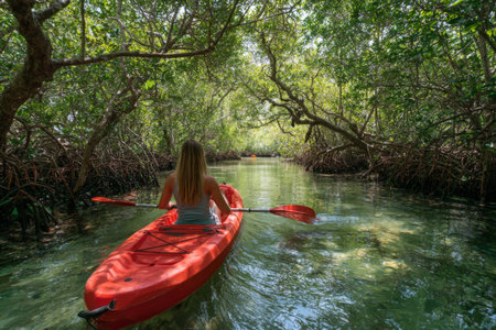 A person is paddling a bright red kayak through calm waters in a mangrove forest. The sunlight filters through the trees, creating a peaceful atmosphere.の素材