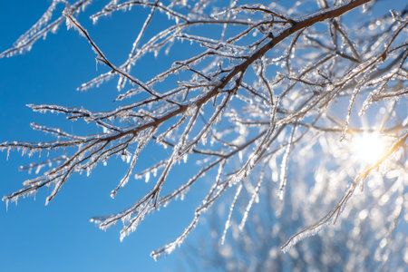 Ice glistens on bare branches set against a clear blue sky. Sunlight breaks through, creating a beautiful display of light and nature in a tranquil winter scene.の素材