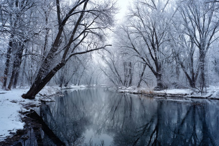 Snow covers the ground as frosted trees line a serene river. The still water reflects the gray sky, creating a peaceful winter scene. This tranquil setting invites a moment of quiet reflection.の素材