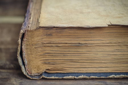 Worn edges of an old book reveal intricate textures and fading details, highlighting its age and history. This close-up captures the beauty of classic literature.の素材
