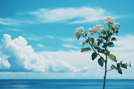 A solitary flower stands tall with delicate white blooms and green leaves, framed by a bright blue sky and serene ocean waves. The scene captures tranquility by the coast.の素材
