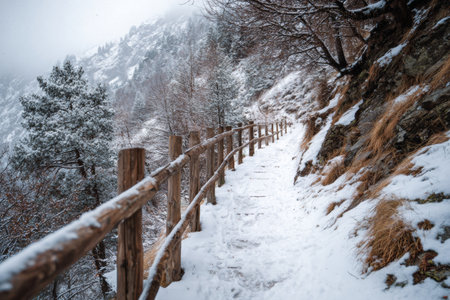 A winding path covered in snow leads through a serene mountainous area. Tall pine trees are dusted with snow, and clouds hang low over the peaks, creating a peaceful winter atmosphere.の素材