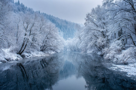 A serene winter scene features a river reflecting snow-covered trees and the cloudy sky. The landscape is tranquil, capturing the beauty of nature in cold weather.の素材