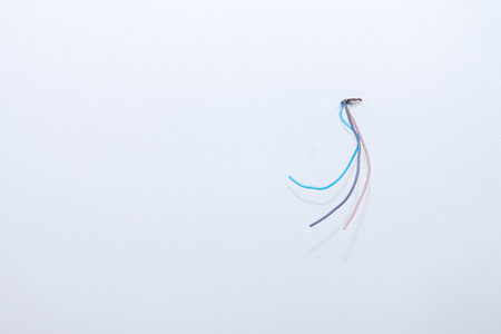 Electrician assembles electrical wiring for lampの写真素材