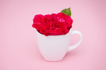 Flowers red roses in a cup on pink background. Flat lay, top view, floral background.の写真素材