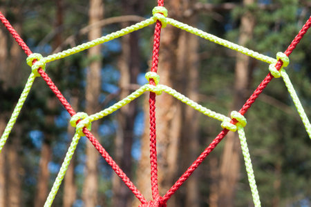 Adventure climbing on high wired park. Forest adventure park among pine trees.の写真素材