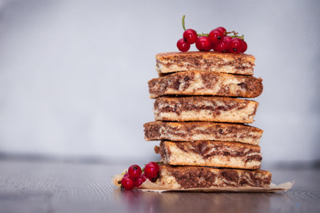 Sweet cake with cocoa powder zebra with berries and chocolate on dark wooden background. Copy spaceの写真素材