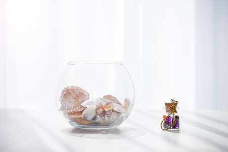 Sea shells in the glass jar on the white background with sun light. Summer, holidays, vacation memories concept.の写真素材
