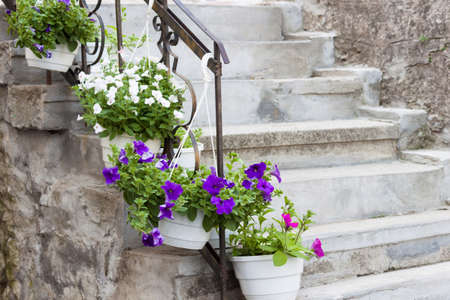 Ancient stone steps with flower pots with pink, white, violet petunias.の写真素材