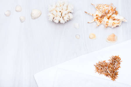 Summer background with sea shells, coral on wooden background. Copy space. Vacations concept.の写真素材
