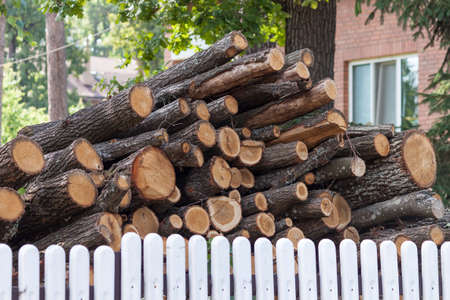Pile of wood logs in the yard near the house