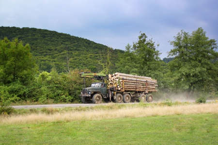 Deforestation. Transportation of cutting wood in the truck.