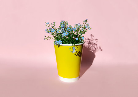 Yellow paper cup with field blue flowers on pink background.の写真素材