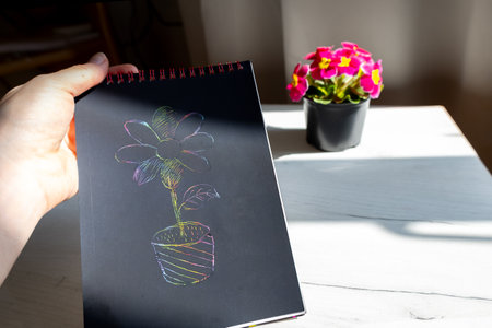Drawn picture of flower and flower in pot near it. Expectation reality concept.の写真素材