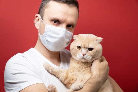 A man wearing a surgical mask and holding a catの写真素材