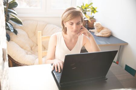 The cat is lying on the table at the workplace with it equipment at home. A woman in home clothes works on a computer in front of a monitor in a home atmosphere. Flexible working hours and remote workの写真素材