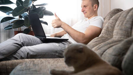 The cat lies on the couch, a man works on a laptop. A young quarantined guy is working at home, with a red cat lying nearby. Remote work, work from home.の写真素材
