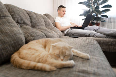 The cat lies on the couch, a man works on a laptop. A young quarantined guy is working at home, with a red cat lying nearby. Remote work, work from home.の写真素材