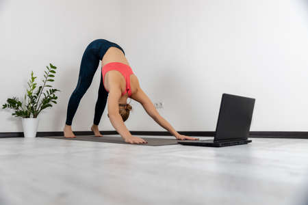 Sporty young woman in sportswear practice yoga online with laptop standing in downward facing dog pose at homeの写真素材